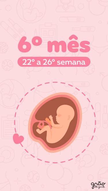 Gestação De 6 Meses - 6° Mês de gravidez | Maternidade | Grávida | 6 meses de gravidez, Meses ...