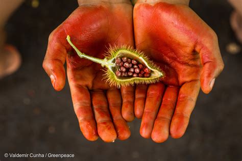 Confirmado Colombia Ser Sede De La Pr Xima Cumbre De Biodiversidad De