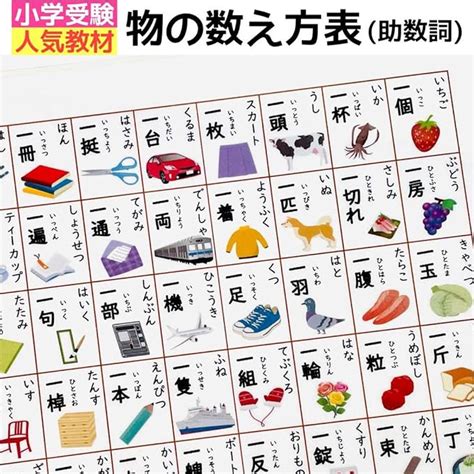 Jp ものの数え方表 物の数え方 助数詞ポスター 小学校受験教材 幼児教育 ベビー＆マタニティ