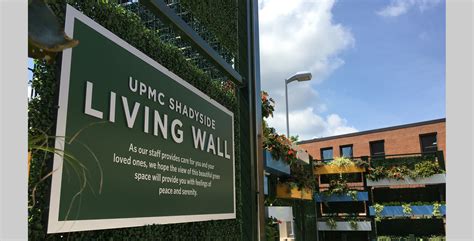 1 UPMC Shadyside Green Wall Multi - Pashek+MTR