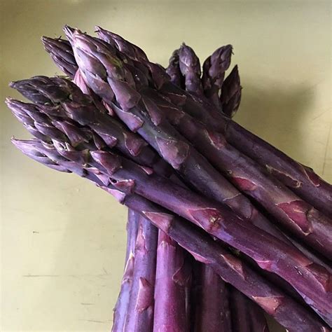 Asparagus Sweet Purple 10bdl Purple Vegetables Asparagus Edible