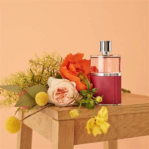 Beste blumige Parfums für den Frühling Blog