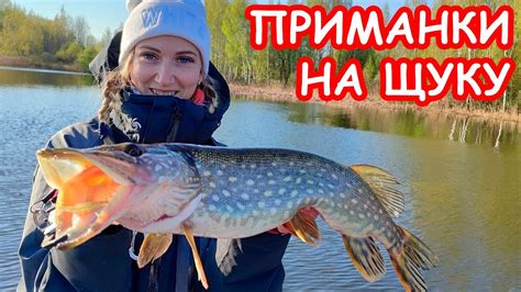ПРИМАНКИ ЛОВЯТ. ЛОВЛЯ ЩУКИ НА ДЖИГ.РЫБАЛКА НА СПИННИНГ - YouTube