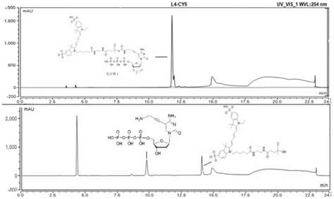 一种核苷酸衍生物及其在基因测序中的应用的制作方法