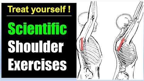 5. Rotator Cuff Rehabilitation Shoulder impingement pain relief ...