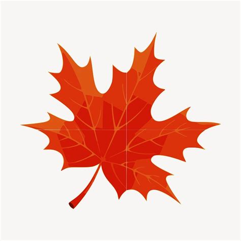 Fall Leaves Images | Free Photos, PNG Stickers, Wallpapers ...