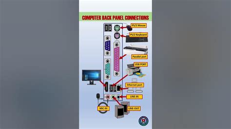 1 Minute Video Computer Back Panel Connections Motherboard Ports