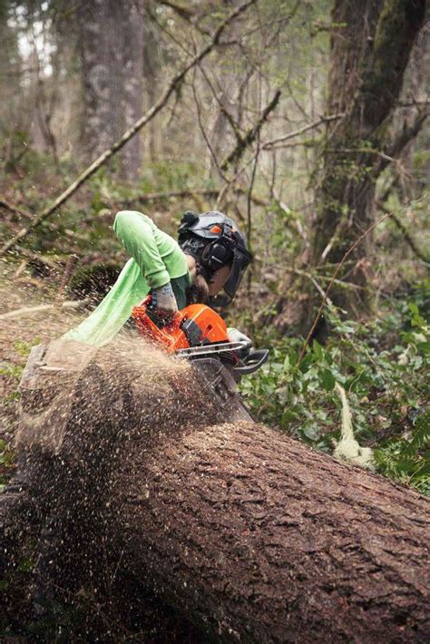 New From Husqvarna 585 Saw Southern Loggin Times