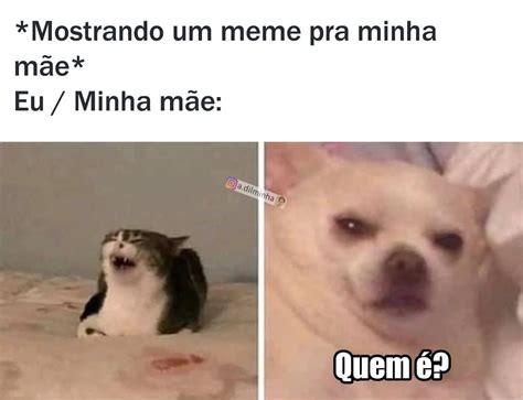 Mostrando um meme pra minha mãe Eu Minha mãe Quem é Memes