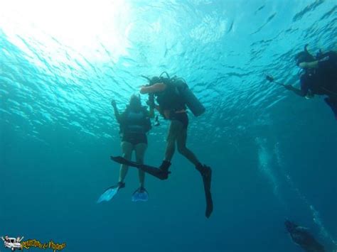 Buceo En San Andres Renunciamos Y Viajamos Renunciamos Y Viajamos