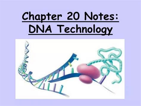 Ppt Chapter 20 Notes Dna Technology Powerpoint Presentation Free Download Id9460738