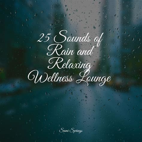 25 Sounds Of Rain And Relaxing Wellness Lounge Album By Fabricantes