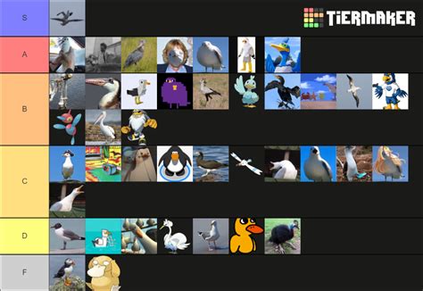 Seagull Tier List Community Rankings Tiermaker