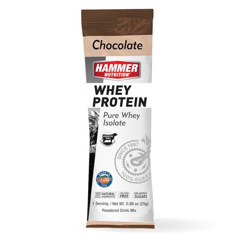 Hammer Nutrition Whey Protein Chocolate Single Serving Velobazaar