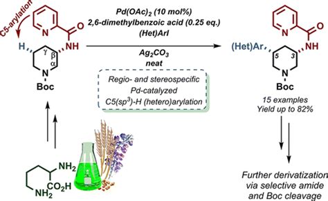 Remote Functionalization Palladium Catalyzed C5 Sp3 H Arylation Of 1