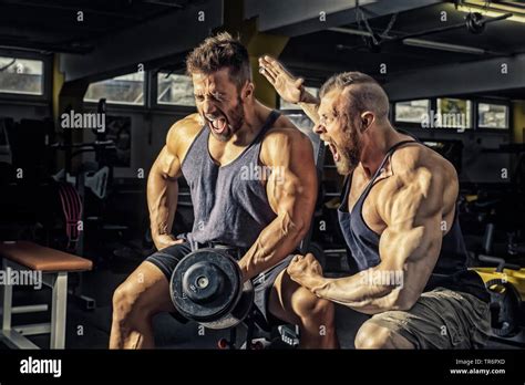 Deutscher Bodybuilder Stockfotos Und Bilder Kaufen Alamy