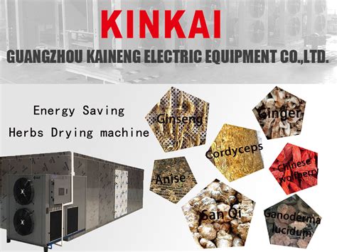 Hot Air Ginger Cabinet Dryer Industrial New Condition Herbs Drying Machine Hot Air Ginger