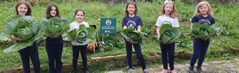 Projeto Plantando Para O Futuro Rende Bons Frutos Em Santa Catarina