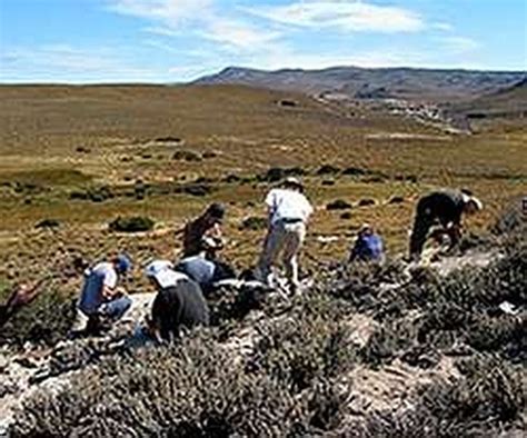 El Bosque M S Antiguo Del Mundo