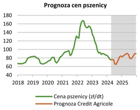 Jakie B D Ceny Pszenicy I Kukurydzy W Niwa I Na Koniec