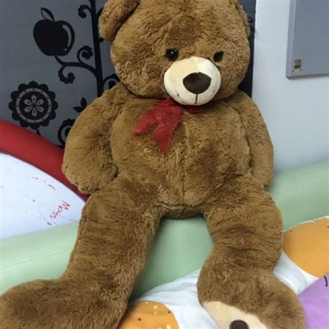 soft toy bear hobbies toys toys games  carousell