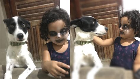 Menina Faz Maquiagem Para Ficar Igual Ao Seu Cachorro E V Deo Viraliza