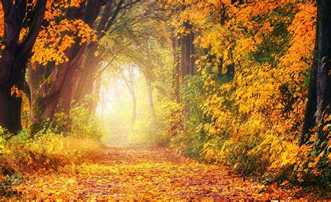 Best Autumn Things to Do in London 2025: Events and Attractions