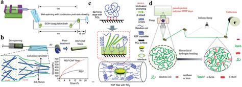 A Schematic Microfluidic Spinning Of The Recombinant Spider Silk