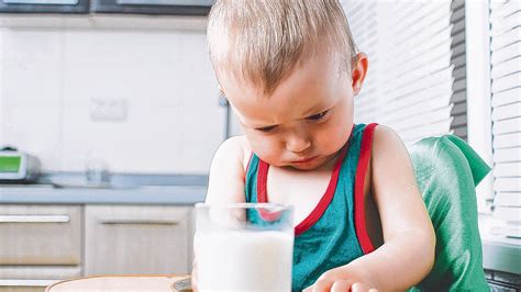 La Alergia A La Proteína De La Leche De Vaca Es Cada Vez Más Frecuente