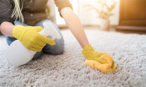 Carpet Care And Maintenance Tips