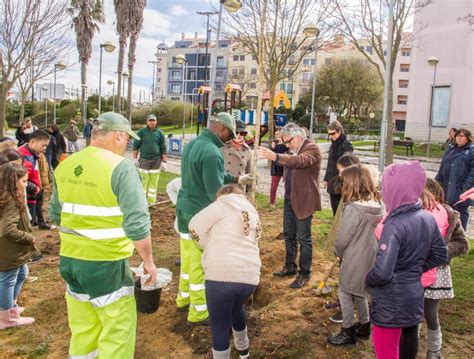 Palmela investe em cadastro inovador para proteger árvores e melhorar a