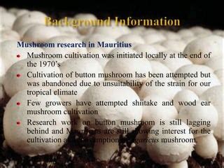 Button Mushroom cultivation.ppt