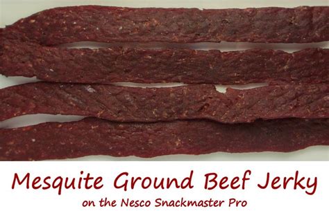 Mesquite Ground Beef Jerky On The Nesco Snackmaster Pro Recipe Beef