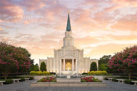 Houston Temple Pictures – LDS Temple Pictures