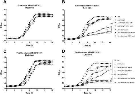 Growth Curves Of Salmonella Enteritidis And Typhimurium In Low Fe And