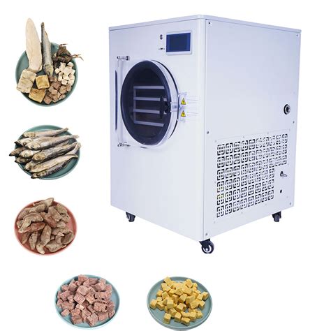 Commercial Industrial Vacuum Vegetables Fruit Lyophilizer Freeze Dryer