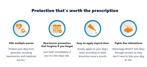 Heartworm Prevention For Dogs: Which Medicine Is Best?