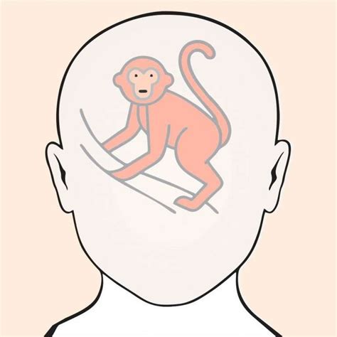 Meditation Monkey Mind - Universal Buddhism