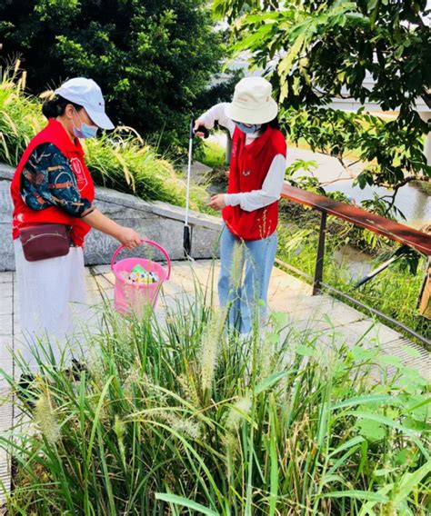 马田街道获评“深圳2021年度深圳网民最喜爱幸福街道”深圳新闻网