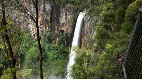 Costa Dorada Excursi N Al Puente Natural Y Las Cascadas De Springbrook