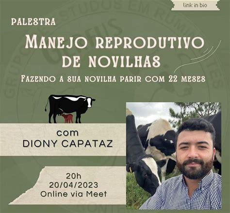 Manejo Reprodutivo De Novilhas Agro Agenda