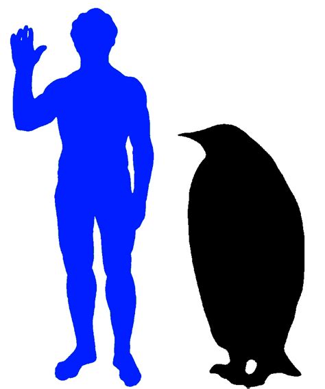 Emperor Penguin « Big Animals