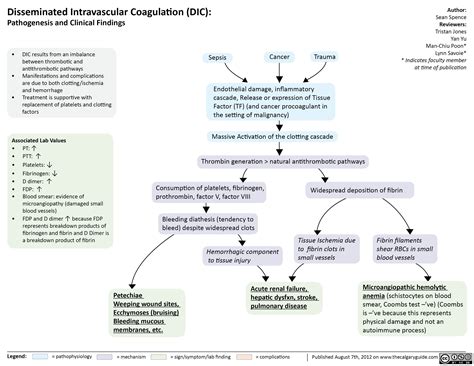 Disseminated Intravascular Coagulation Dic Calgary Guide Artofit