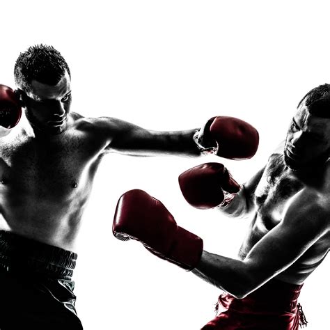 L Art De La Boxe Francaise Et De La Canne Nouveau 2