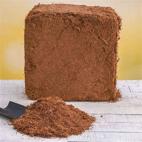 Cocopeat Bricks Packaging Type Box Packing Pack Size Kg At Rs