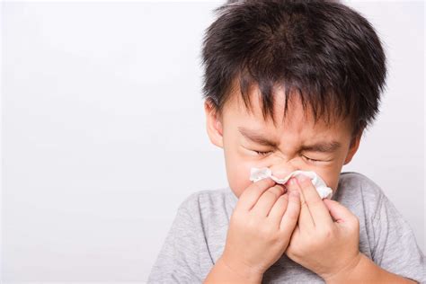 Allergies In Children: What You Need To Know - SOG Health Pte. Ltd.