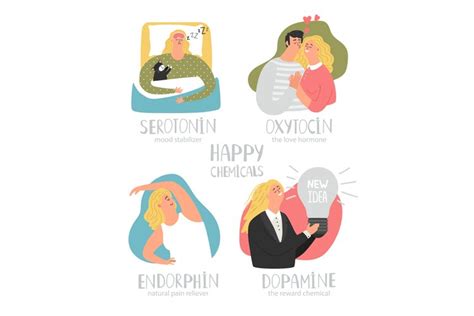 Endorphin Dopamine Oxytocin Serotonin Hormones Colorful