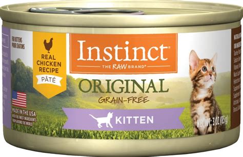 Best Kitten Food | The Best Kitten Food Options for Great Nutrition