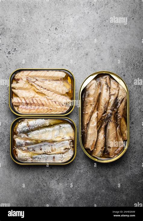 Assorted Canned Fish In A Tin Over Gray Concrete Background Sardine