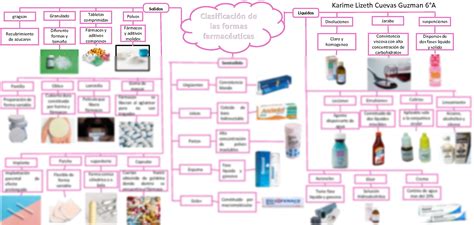 Solution Formas Farmaceuticas Mapa Studypool